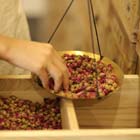 Herbal Medicine Delivery