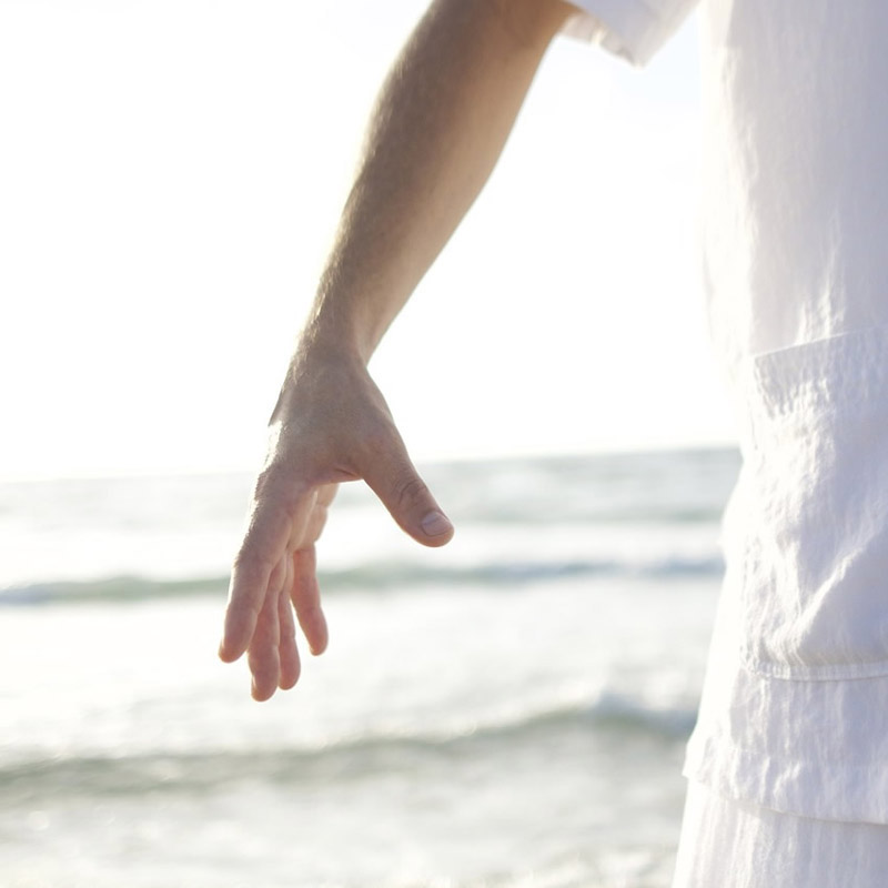 7TCM TCM Exercise Wellness